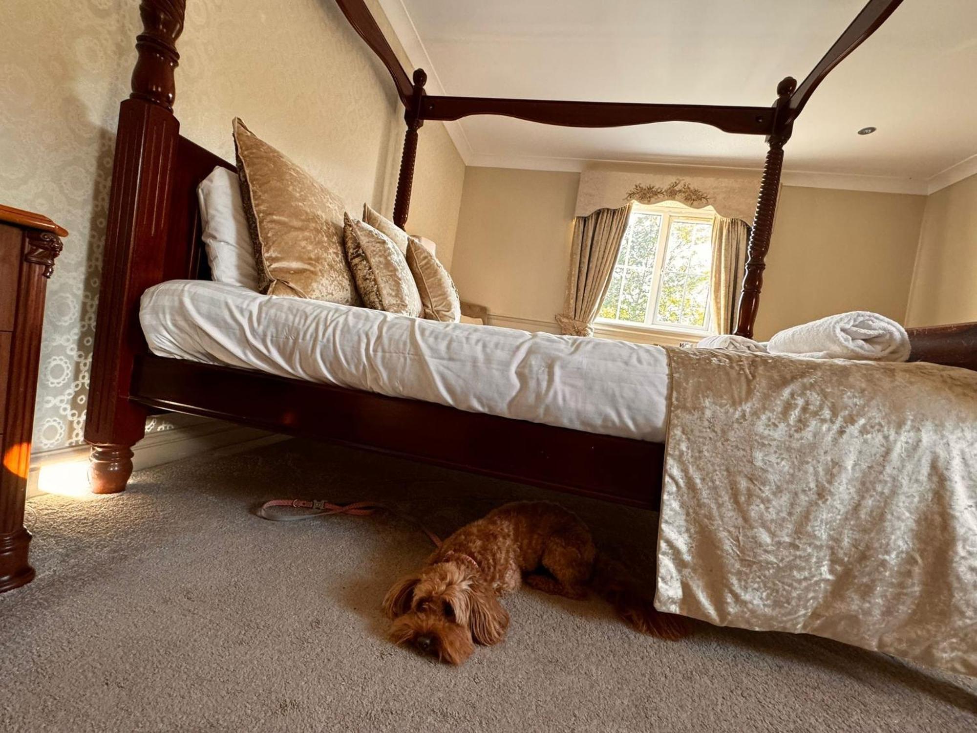 North Killingholme The Ashbourne Hotel מראה חיצוני תמונה